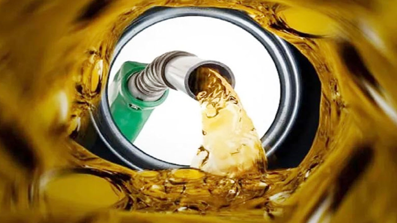 ভারত থেকে এলো ৫ হাজার মেট্রিক টন ডিজেল